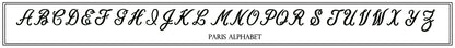 Paris Decorative Pillow * CUSTOMIZABLE *