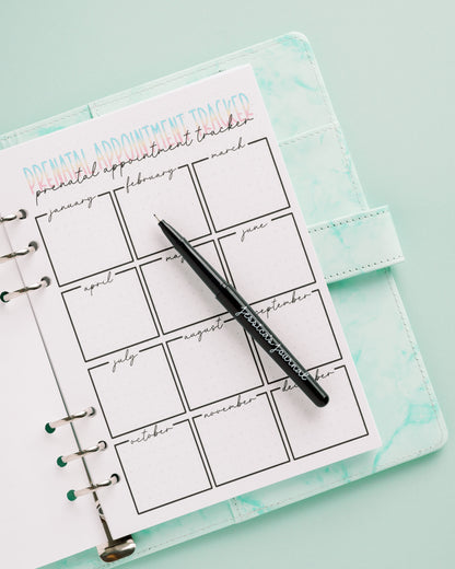 Pregnancy Journal Kit