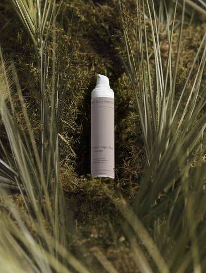 Anti-Ageing Collection Box