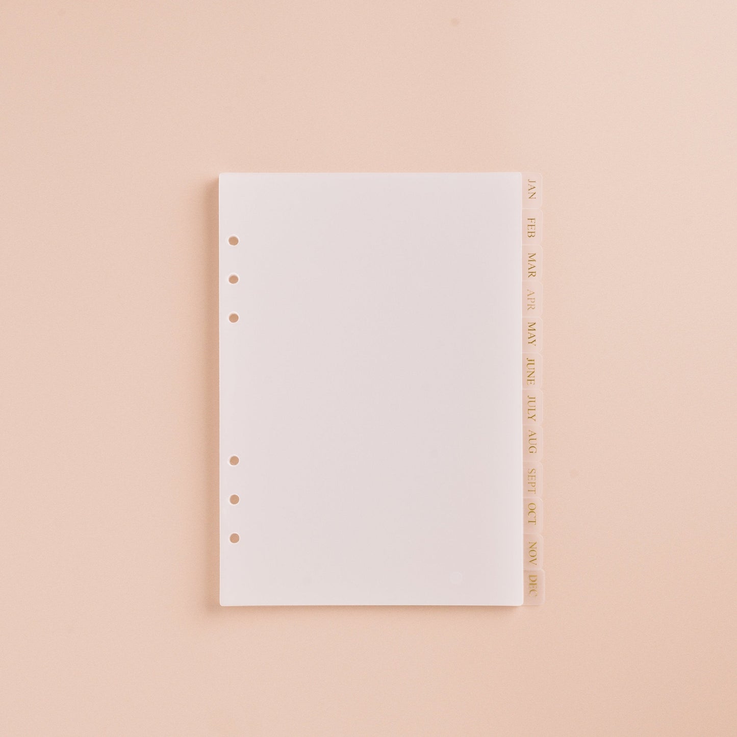 Monthly 12 Tab Dividers